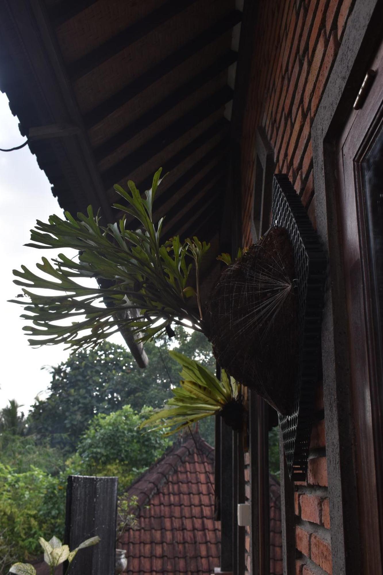 Umah Ubud B&B Bagian luar foto